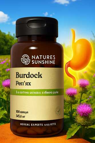 Фото лопух в капсулах